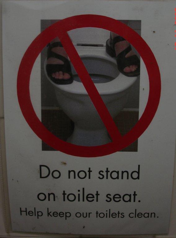 Toiletology Language on the Move