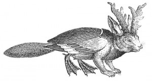 Wolpertinger Wolpertinger