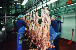 Meat workers, Fletcher Abattoir (Source: SheepCRC)