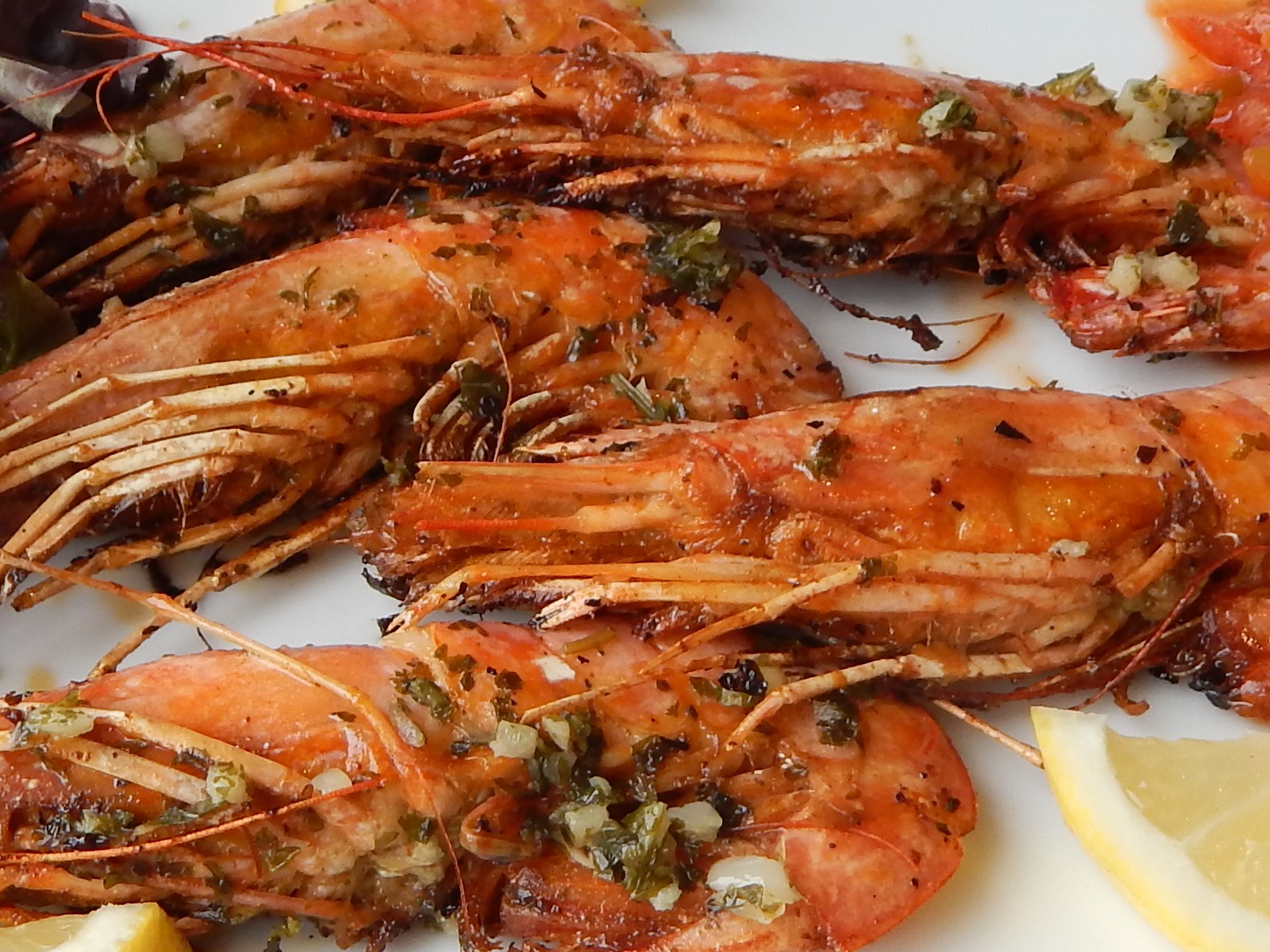 prawns Language on the Move