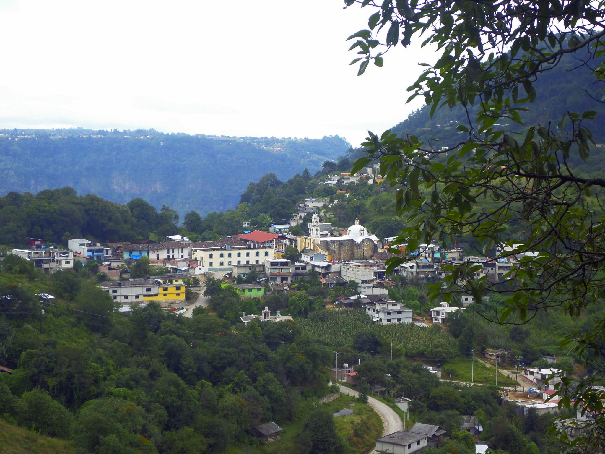 San Miguel Tenango - Language on the Move
